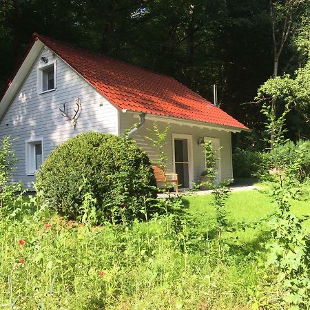 "Das Waldhaus" Bad Lauterberg Exterior foto