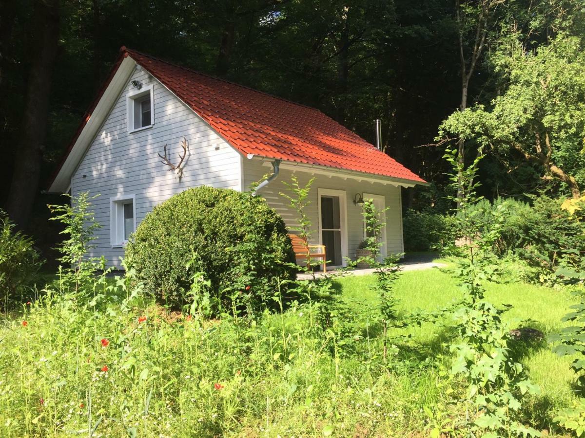 "Das Waldhaus" Bad Lauterberg Exterior foto